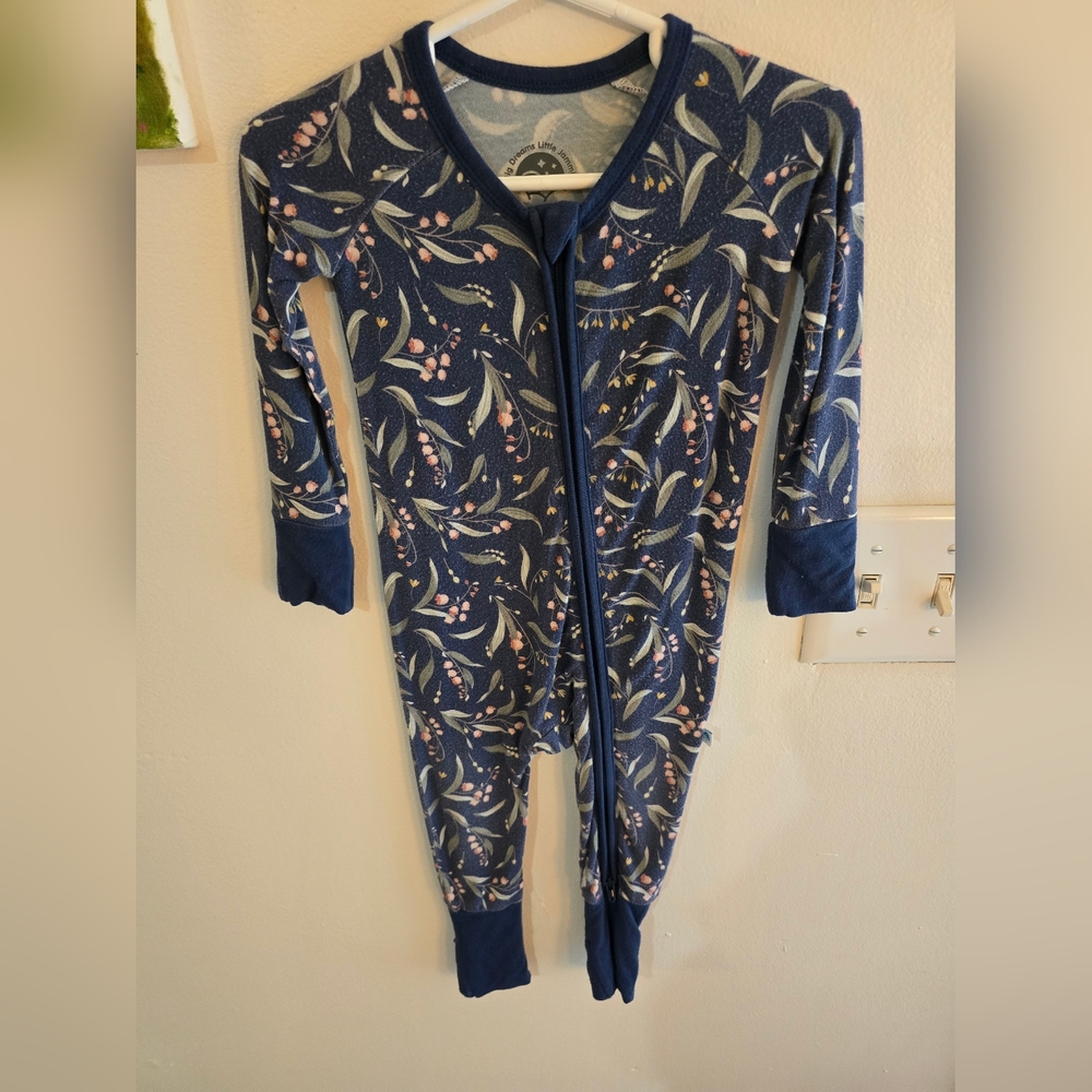 Big Dreams Little Jammies Zippy